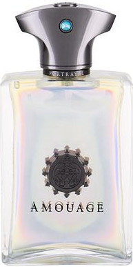 Amouage Portrayal Man EDP 100 ml