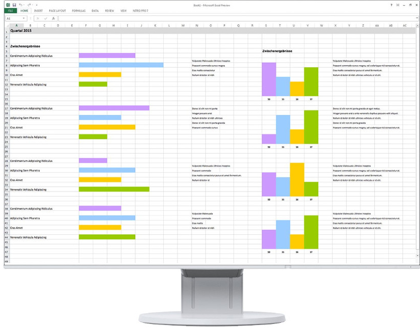 Monitorius Eizo EV2460