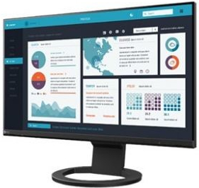Monitorius Eizo EV2490