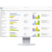 Monitorius Eizo FlexScan EV2451