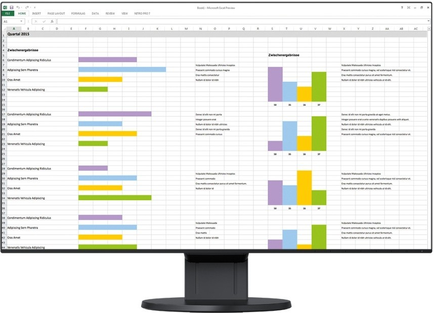 Monitorius Eizo FlexScan EV2451