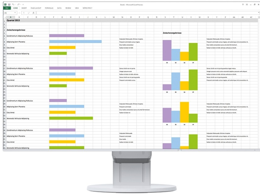 Monitorius Eizo FlexScan EV2451