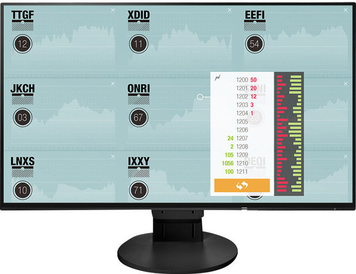 Monitorius Eizo FlexScan EV2451