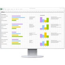 Monitorius Eizo FlexScan EV2456