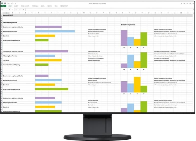 Monitorius Eizo FlexScan EV2456