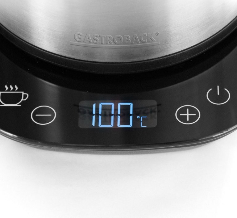 Virdulys Gastroback 42426