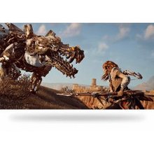 Horizon Zero Dawn Complete Edition PS4