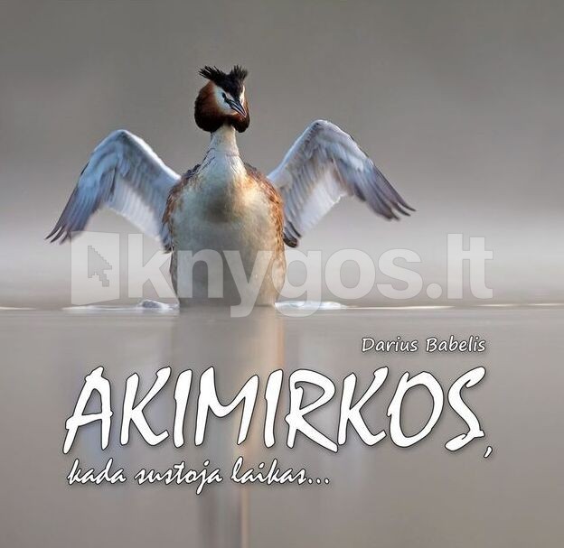 Akimirkos, kada sustoja laikas