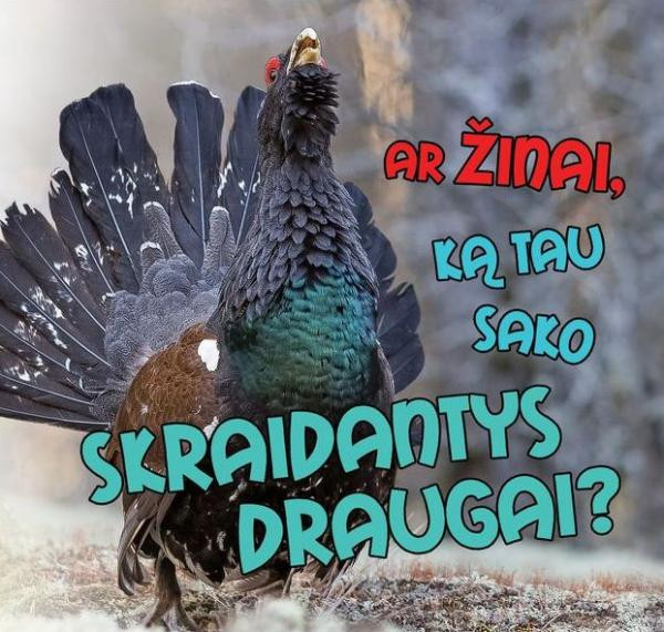 Ar žinai, ką tau sako skraidantys draugai?