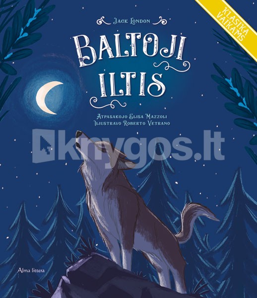 Baltoji iltis
