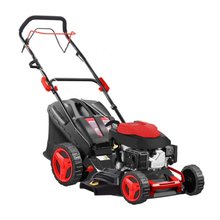 Blue Bird Sprint B46T