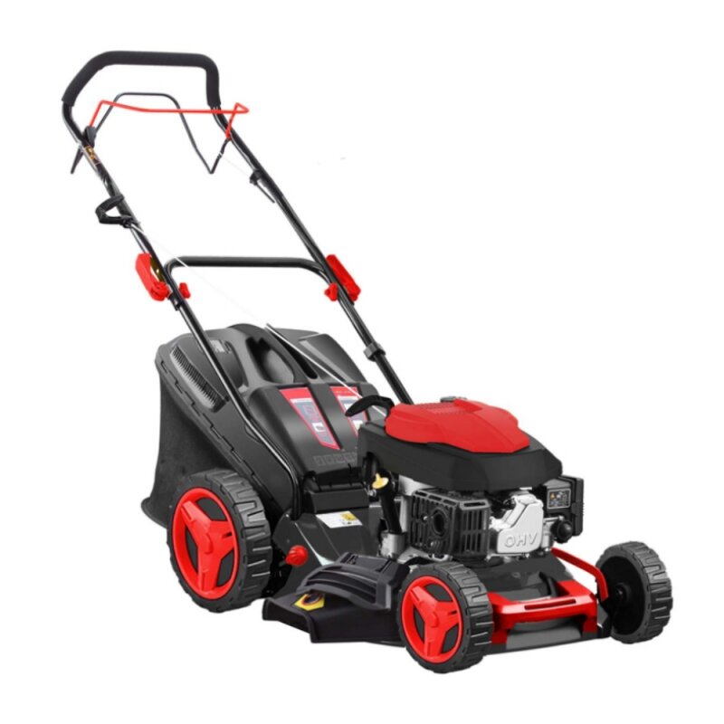 Blue Bird Sprint B46T