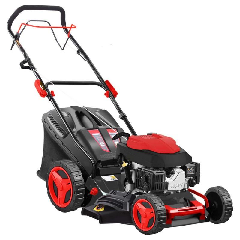 Blue Bird Sprint B51T