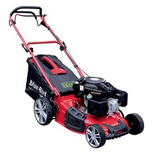 Blue Bird Taurus L51 T