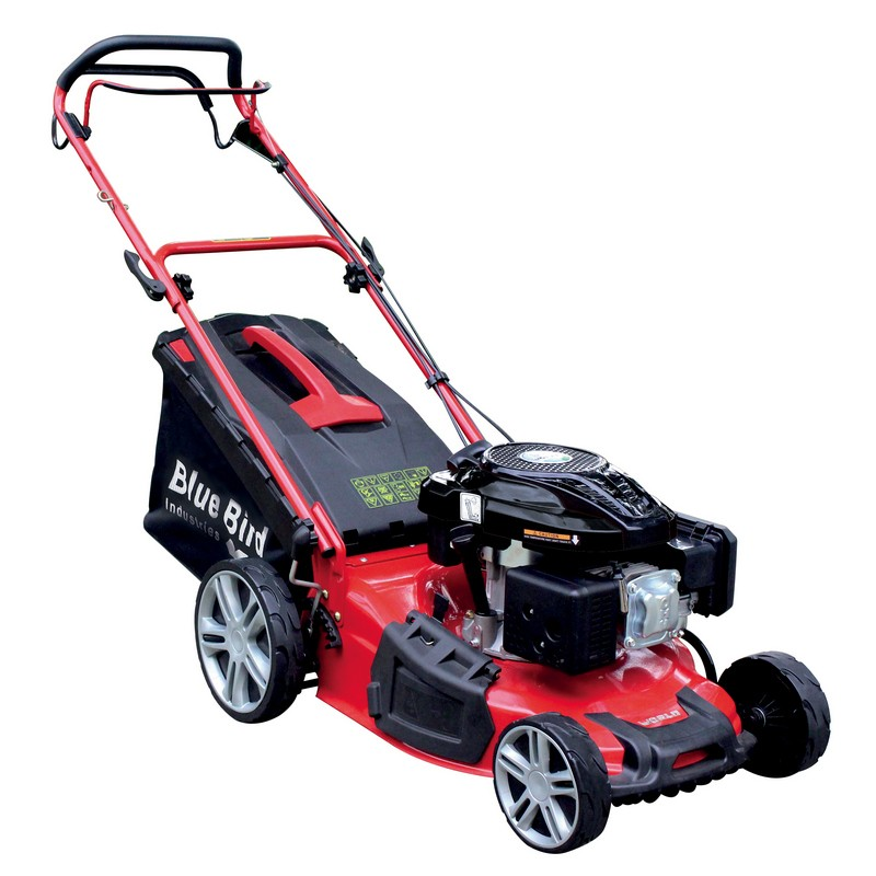 Blue Bird Taurus L51 T