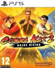 Cobra Kai 2: Dojos Rising PS5