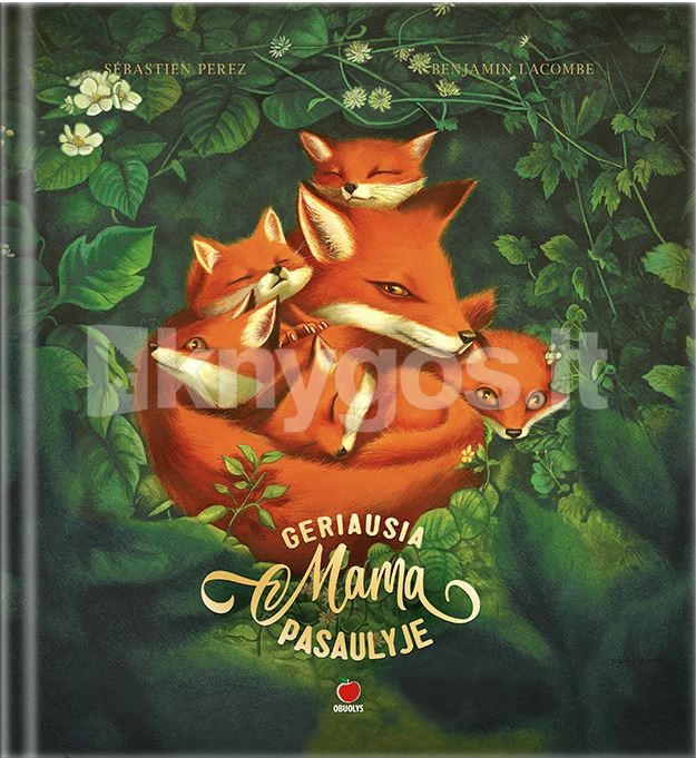 GERIAUSIA MAMA PASAULYJE: gėrio ir grožio kupina knyga vaikams apie mamas