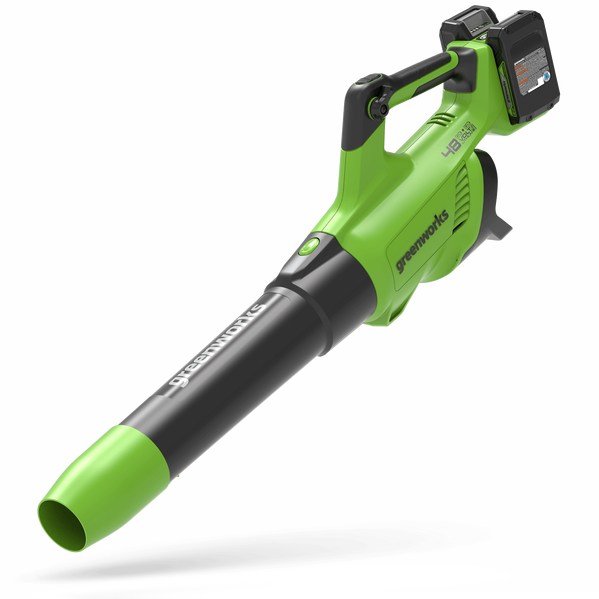 Greenworks G24X2ABK2X