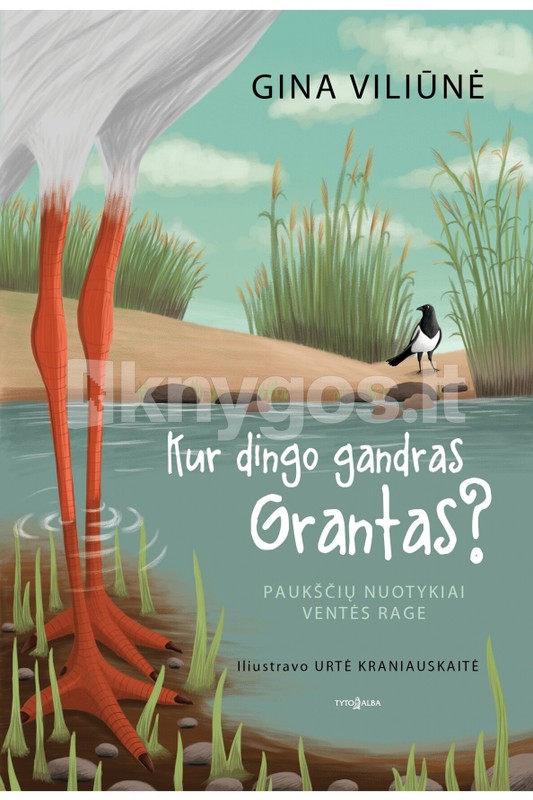 Kur dingo gandras Grantas? Paukščių nuotykiai Ventės rage