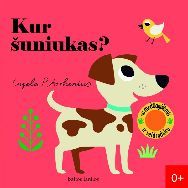 KUR ŠUNIUKAS? Su medžiagėlėmis ir veidroduku