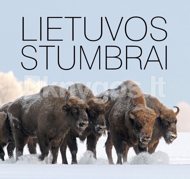 Lietuvos stumbrai