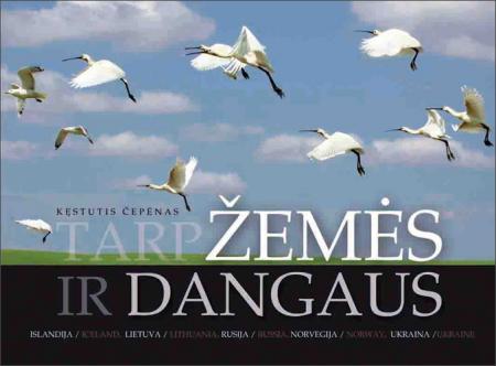 MANO ŠIRDIS PLAKA TARP ŽEMĖS IR DANGAUS. Naujausias bestselerių autorės A. Liauškaitės intriguojantis meilės romanas!