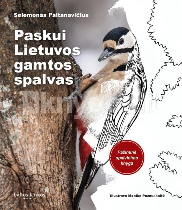 Paskui Lietuvos gamtos spalvas