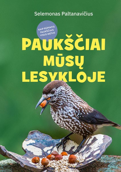 Paukščiai mūsų lesykloje: kaip rūpintis paukščiais visus metus