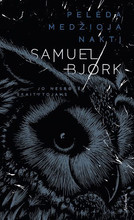 Pelėda medžioja naktį