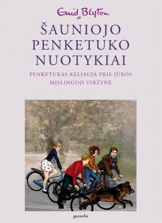 Penketukas keliauja prie jūros. Mįslingoji viržynė (Šauniojo penketuko nuotykiai. Šešta knyga)
