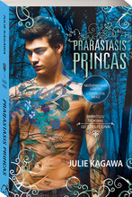 Prarastasis princas (Geležies fėjūnai 5-oji knyga)