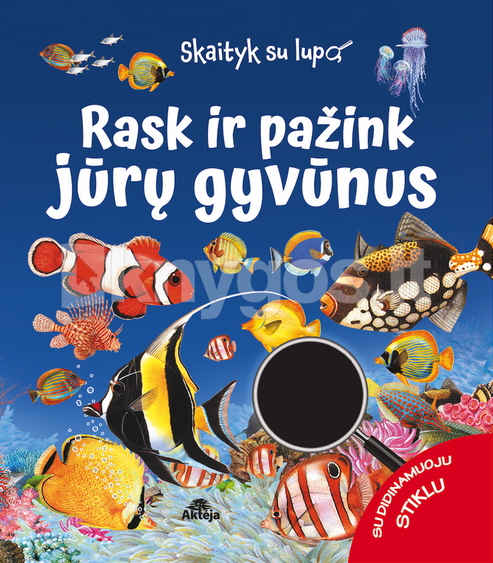 Rask ir pažink jūrų gyvūnus. Skaityk su lupa