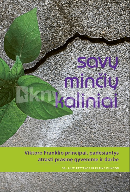 Savų minčių kaliniai: Viktoro Franklio principai, padėsiantys atrasti prasmę gyvenime ir darbe