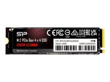 Silicon Power UD90 M.2 1TB