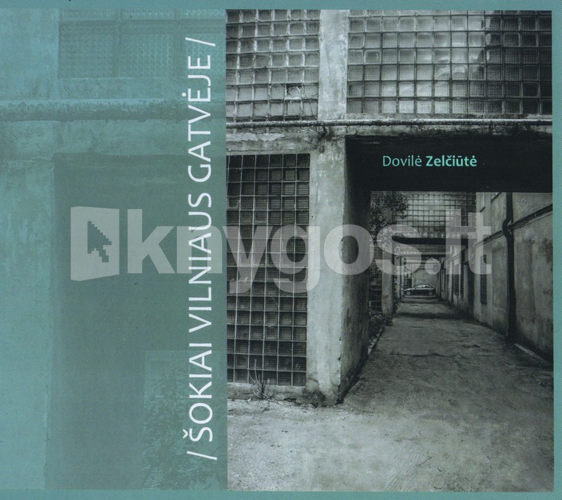 Šokiai Vilniaus gatvėje