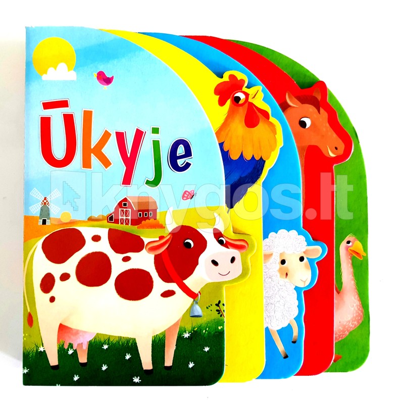 Ūkyje