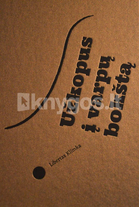 Užkopus į varpų bokštą