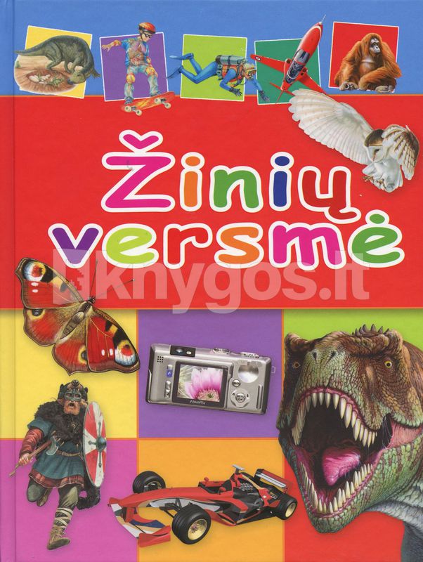 Žinių versmė