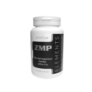 ZMP Elements
