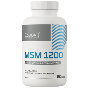 MSM 1200