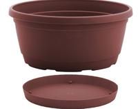 Plastikinis dubuo, Nicoli Rumba su lėkštele, 20 x 9,5 cm., rudas