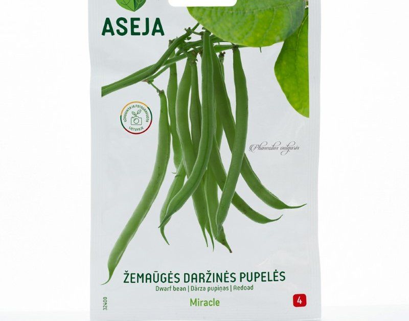 Daržovių sėklos, daržinės pupelės Miracle, ASEJA, 10gr, 32400(4)