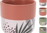 Kambarinis keraminis vazonas, terakoto sp., 4 skirtingi dizainai, su augalų motyvais, 7 x 7 x 6 cm.