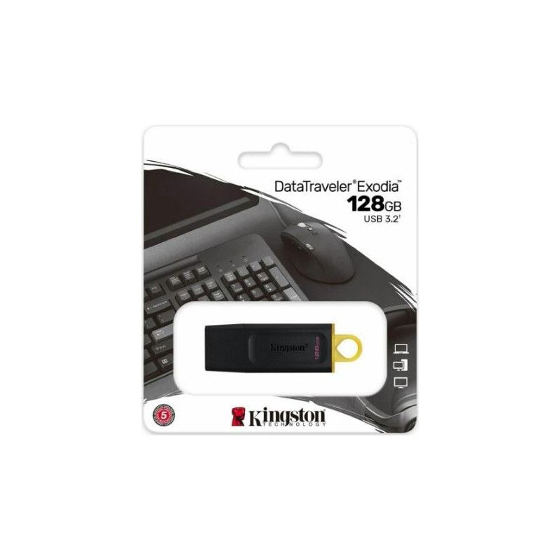 Atmintinė Kingston Exodia 128GB USB 3.2