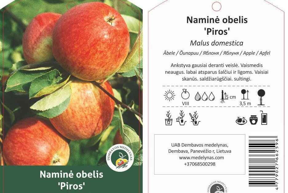 Vaismedis, obelis vasarinė "Piros"