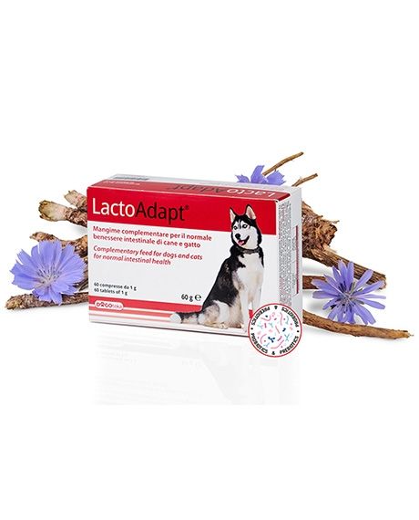 Dogoteka LactoAdapt papildai šunų ir kačių žarnynui, N60