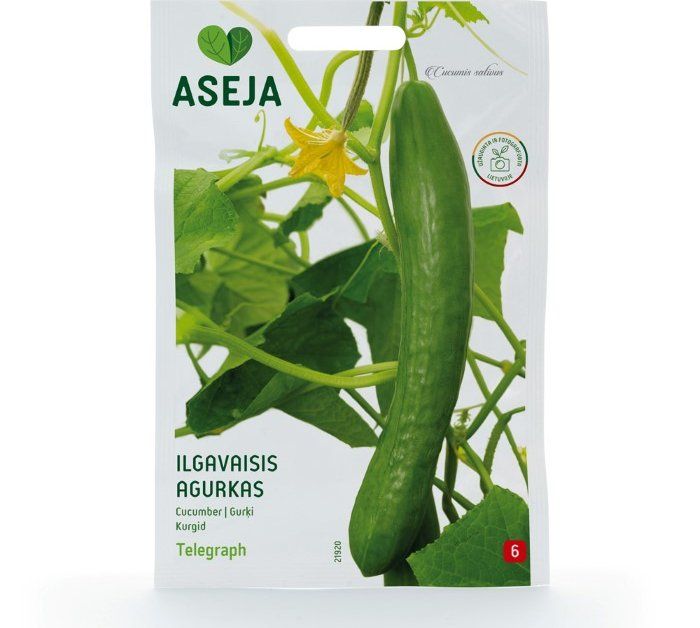 Ilgavaisis agurkas ASEJA Telegraph, 0,3 g, 21920(6)