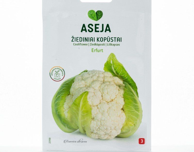 Daržovių sėklos, žiediniai kopūstai Erfurt, ASEJA, 0,5gr, 22190(3)
