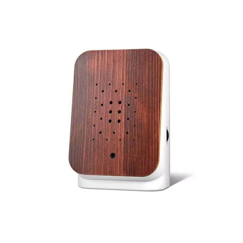 Junglebox skambanti dėžutė (Tikmedis)