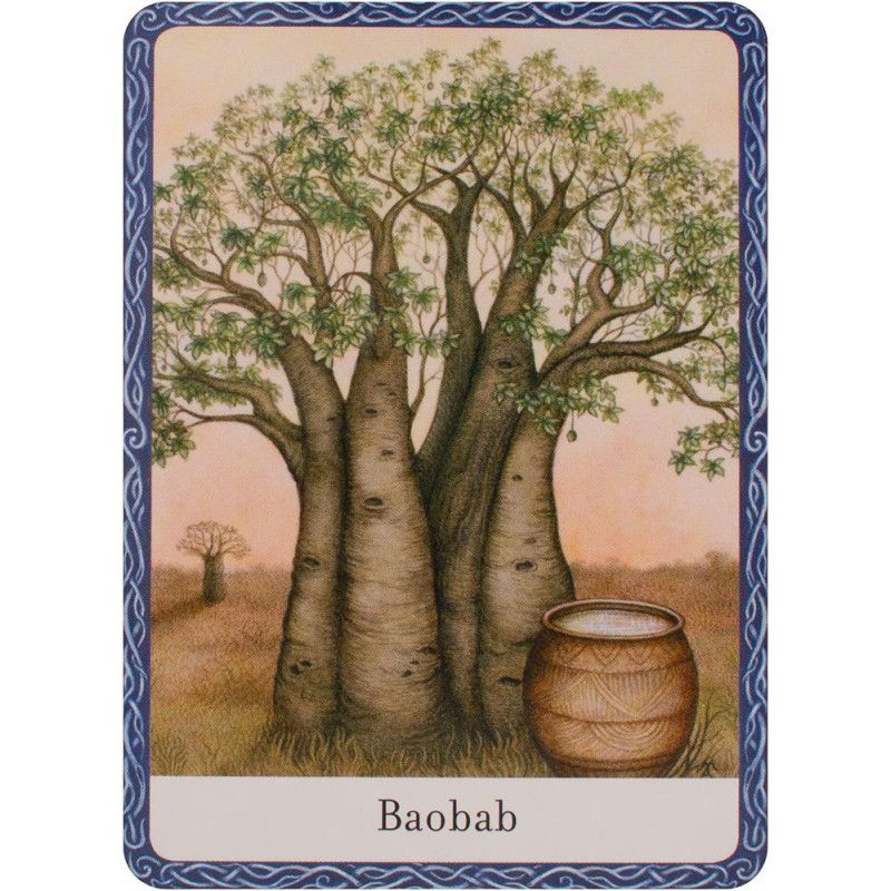 Orakulo Kortos The Wisdom Of Trees Watkins Publishing